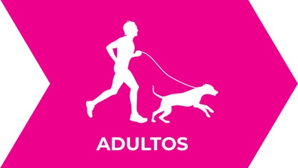 ADULTOS