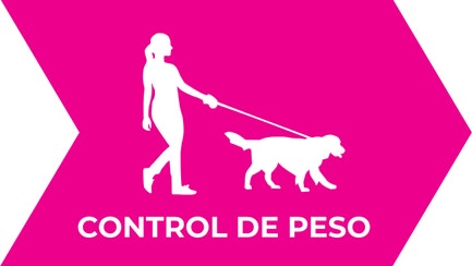 CONTROL DE PESO