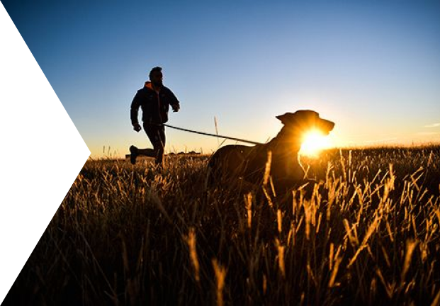 perros extraordinarios